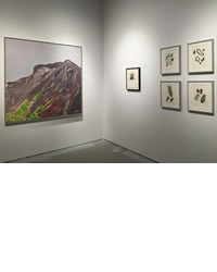 Elizabeth Enders at Real Art Ways Artworks