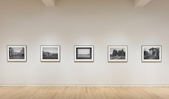 Exhibition with Five Photographs Framed by Bark Frameworks