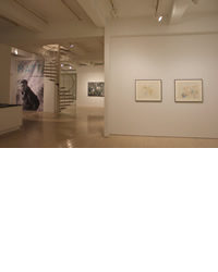 Roberto Matta Exhibition Entrance at Pace Gallery