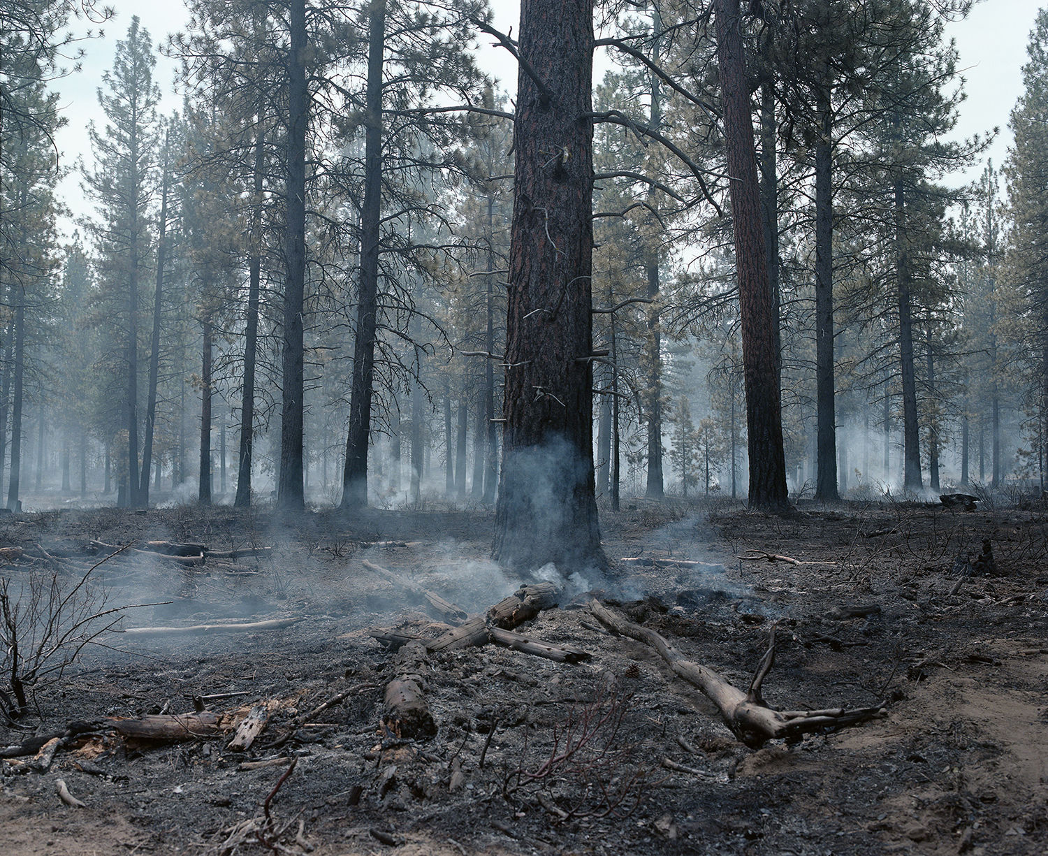 Katie Truisi Photograph Controlled Burn Outside of Bend Oregon 2018