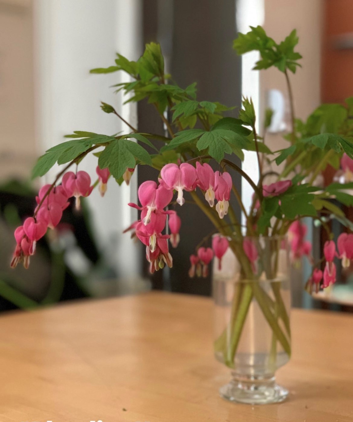 Bleeding hearts in break room