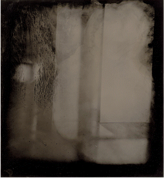 sally mann photograph